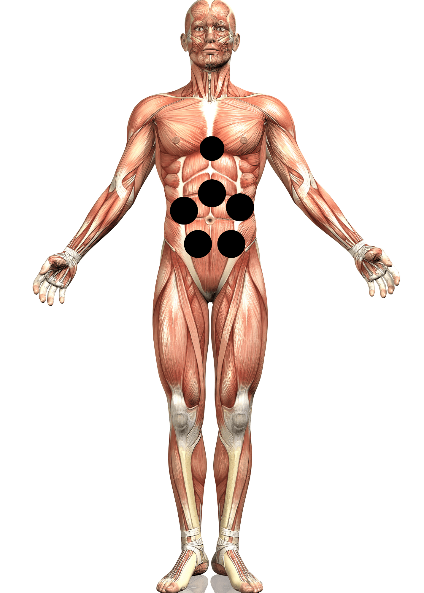 Abdomen area hijama points (2)