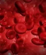 Blood cells running around.