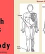 hijama points