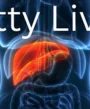 liver