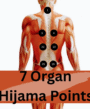 7-organ hijama points