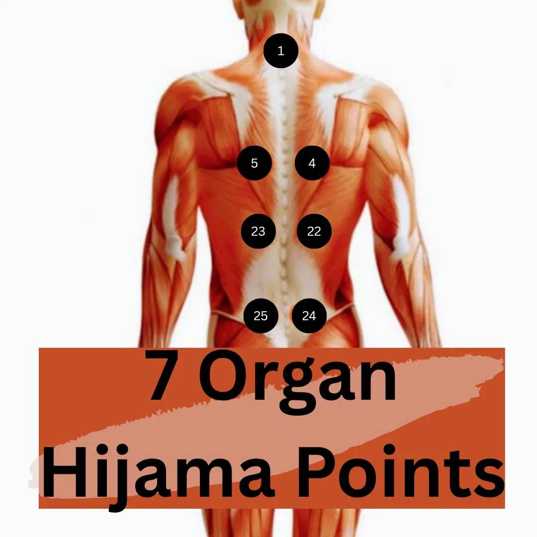 7-organ hijama points